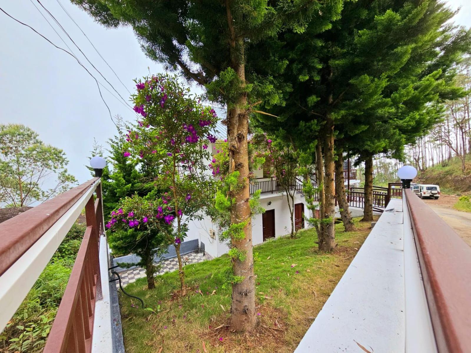 Devikolam Rock And Mist Munnar Bed & Breakfast エクステリア 写真